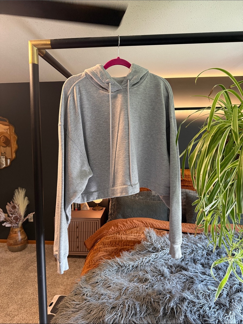 ALO Yoga Cropped Gray Cowl Hoodie